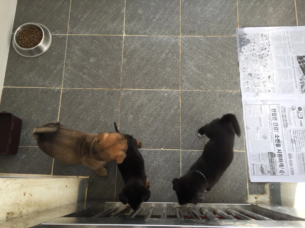 991465505BACBF5B16F703