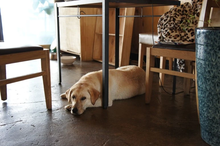 DSC05969.JPG?type=w773