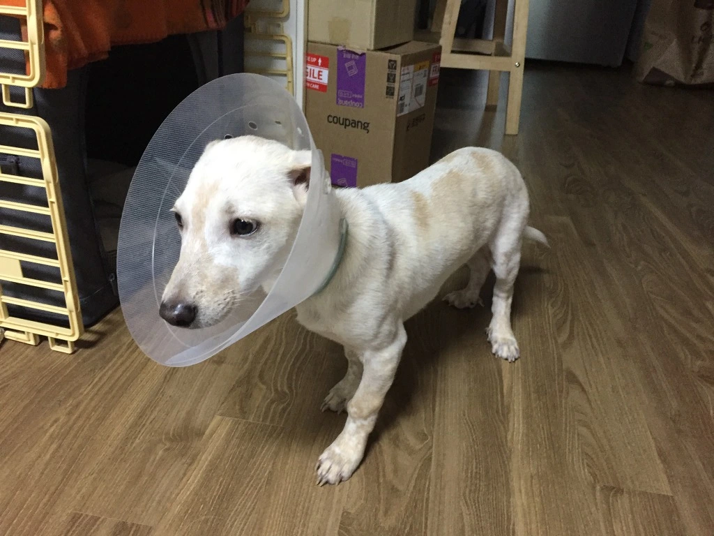 99AC7A345BCF011C2C55C2