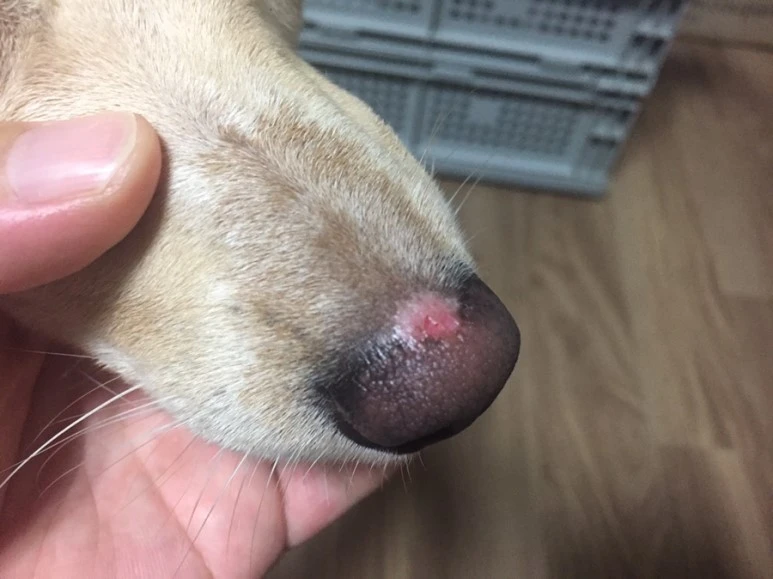 IMG_1871.JPG?type=w773