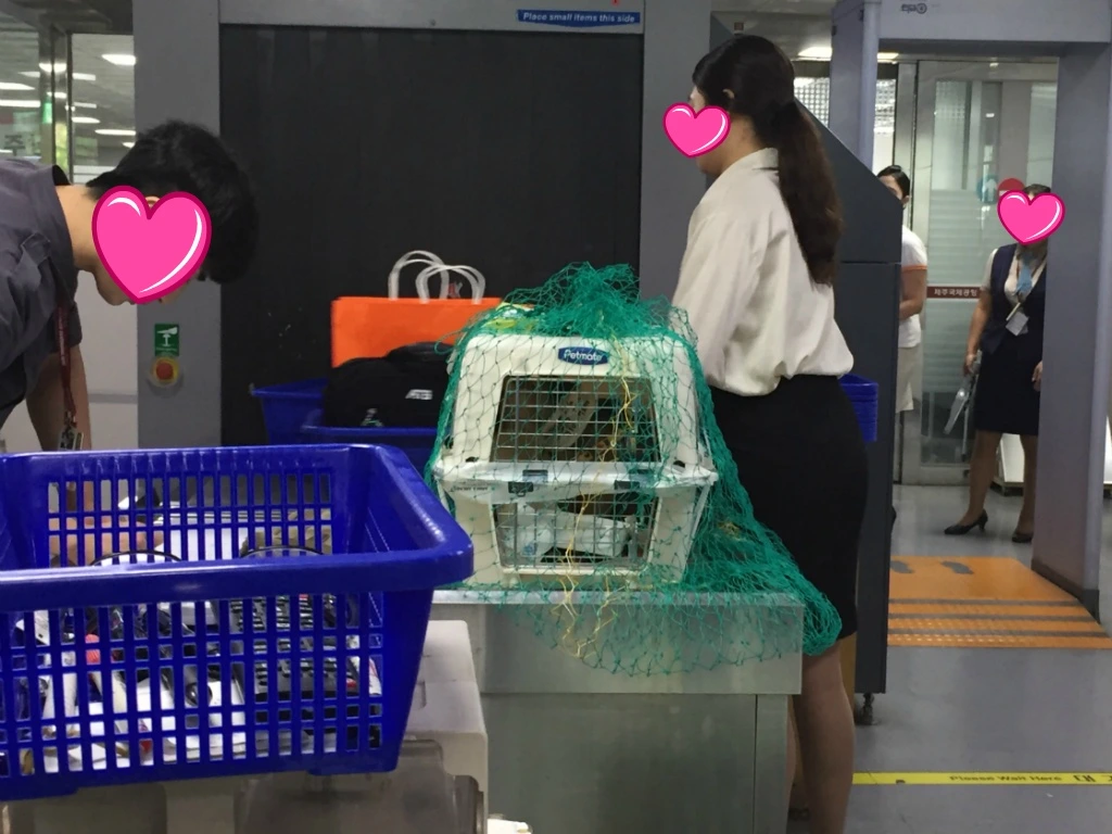 994FBF3A5B9F7F45047481