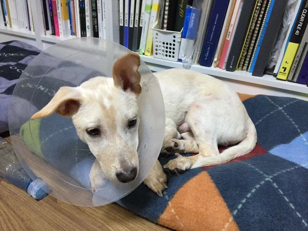 99A6373A5BCF016D0F9628