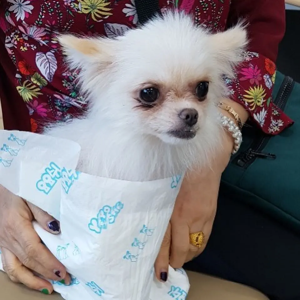 43567198_1837385696376011_570004261111332864_n.jpg?type=w966