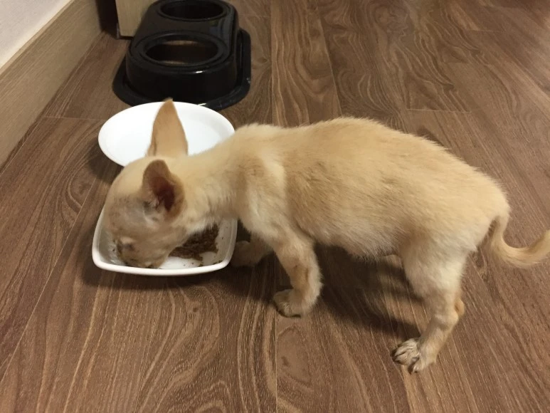 P20180718_180538869_48281759-5B9C-46D1-B110-F40857DD35C3.JPG?type=w773