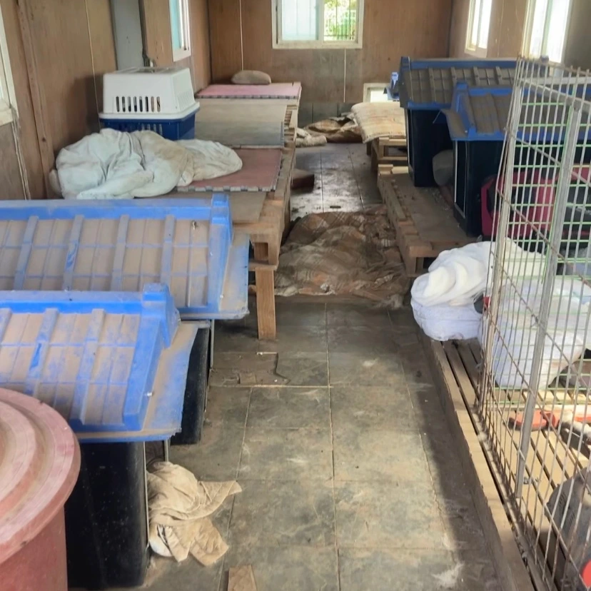 KakaoTalk_Photo_2022-09-19-04-50-45 001.jpeg