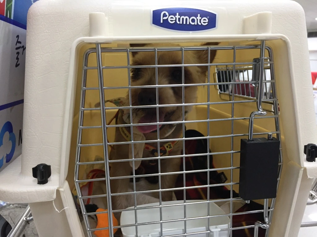 9933ED385B9F7E980B2C5E