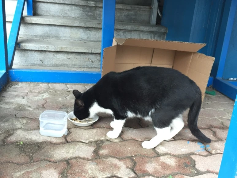 IMG_1844.JPG?type=w773