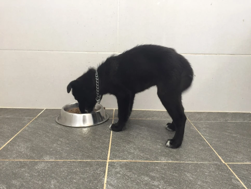 P20181013_101303555_D5231223-4FB2-4F49-83AD-68F2B959510A.JPG?type=w966