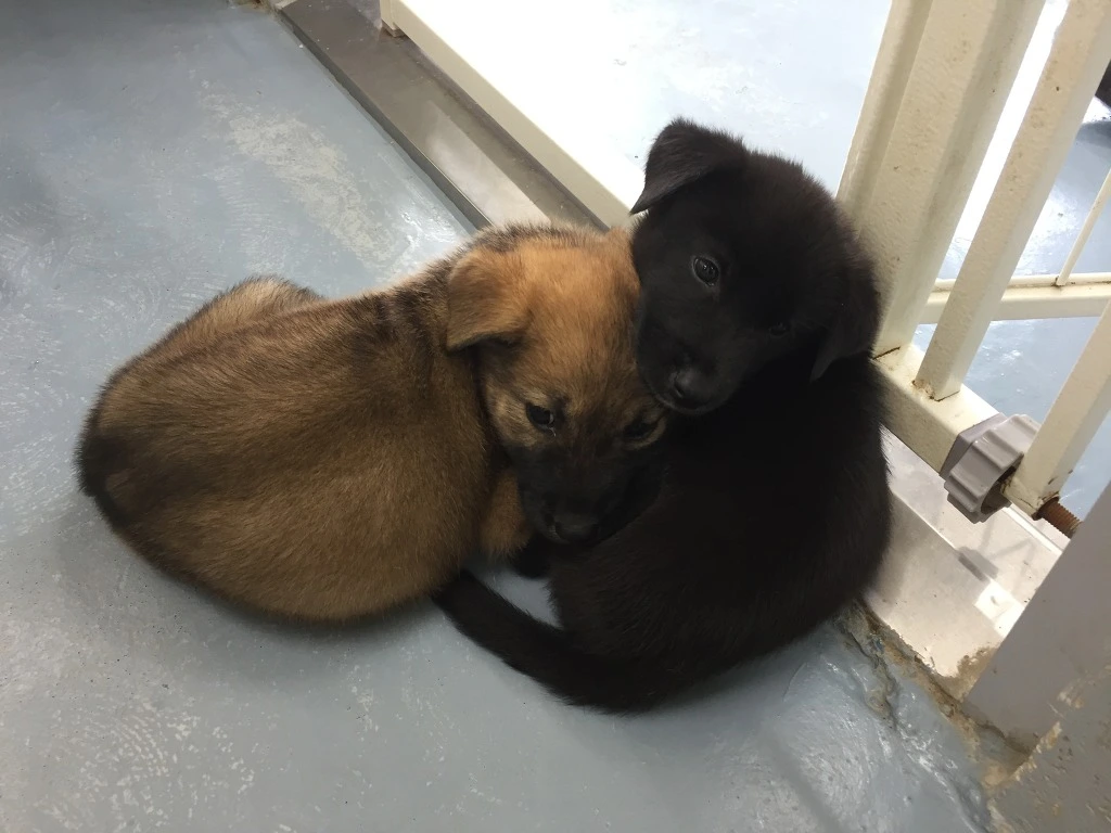 99D82F505BACBEF72D4F15