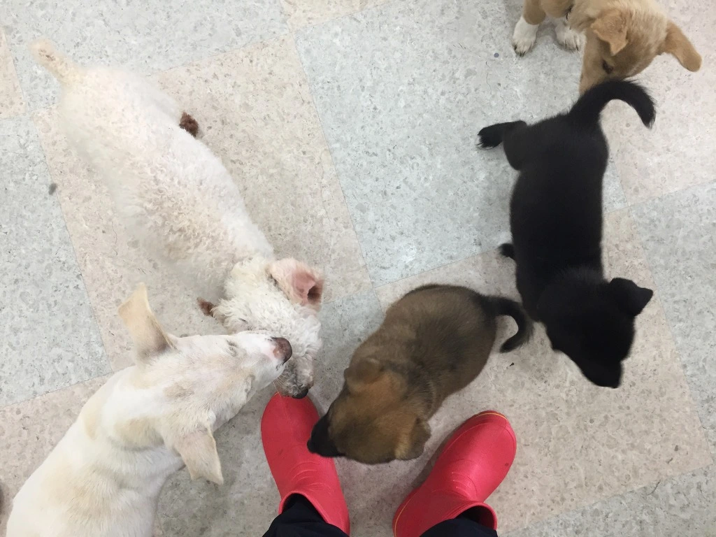 998763495BACBE7C1E3CE2