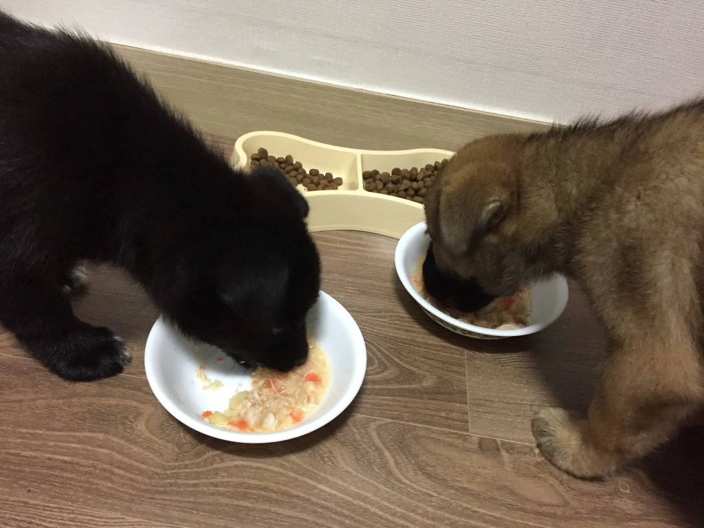 9945773D5BA76E842AD506