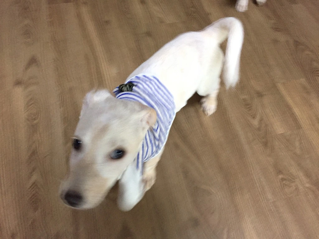 995EC53B5B98E050150A63