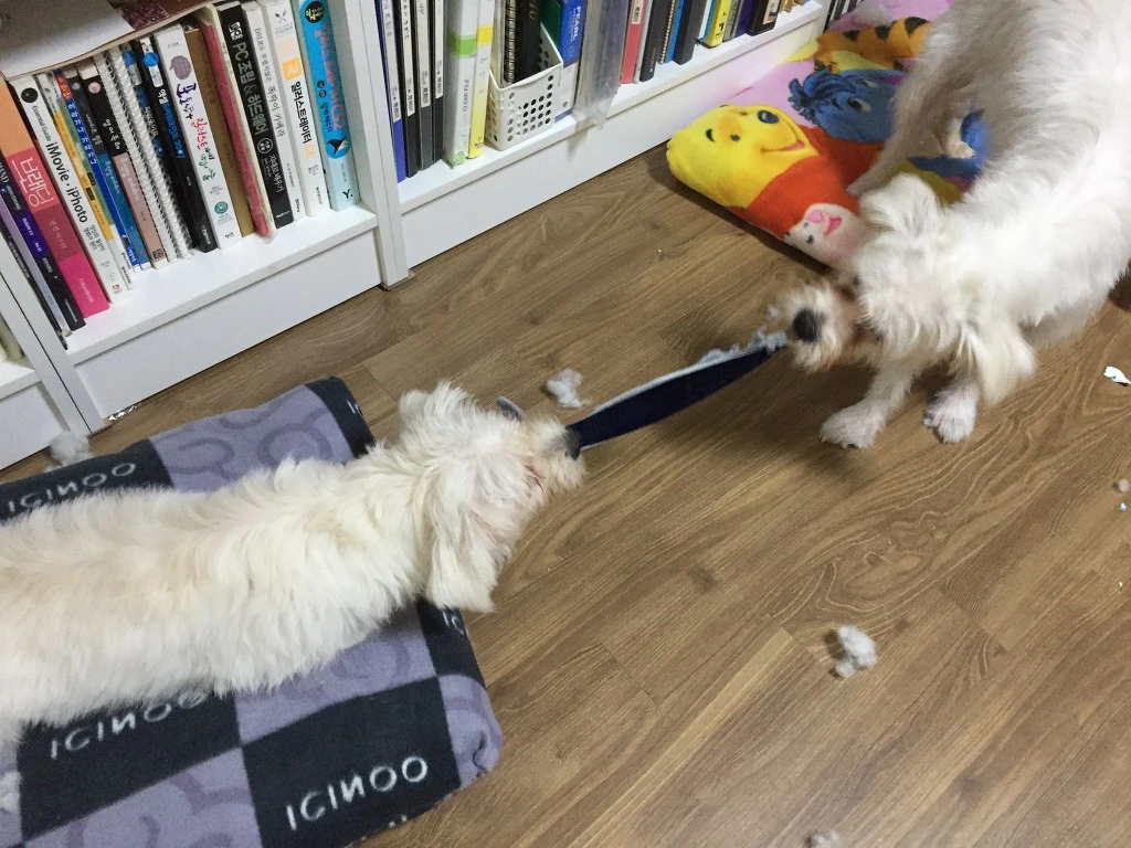 99C335455B98DD1B1DE17F