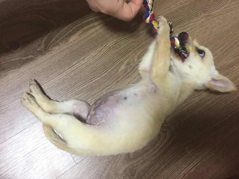 P20180720_212835326_97B3B30A-7370-4BE6-A502-42B93E1717FE.JPG?type=w773