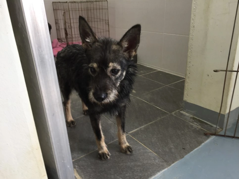 P20181011_131322754_89D86E74-B135-4FB9-A5D2-1840A58CC05E.JPG?type=w966