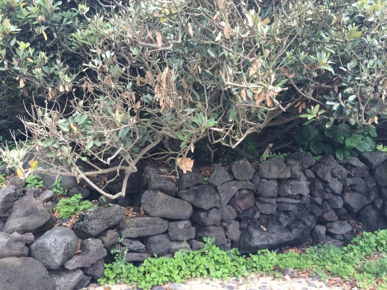 IMG_7421.JPG?type=w773