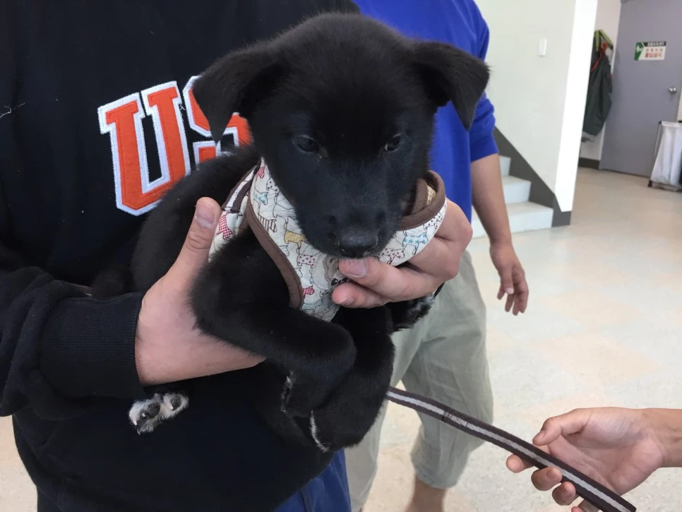 IMG_4923.JPG?type=w966