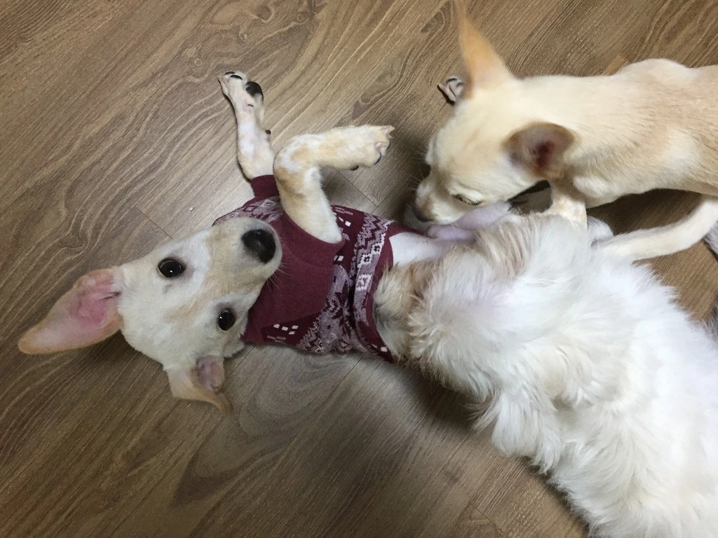 999078415B98E00728DFDB