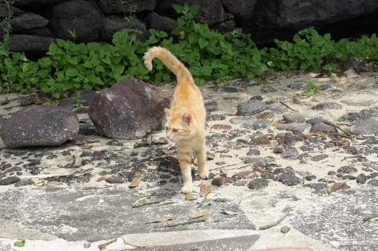 DSC05958.JPG?type=w773