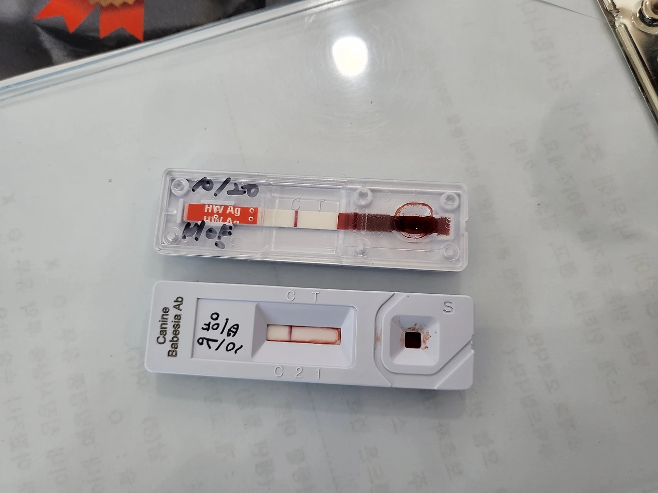 KakaoTalk_Photo_2022-10-20-18-42-58 004.jpeg