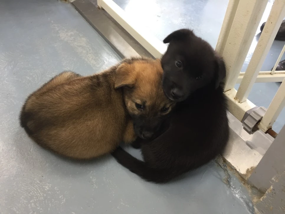 P20180927_144613549_034EC1BC-B92F-4B69-85A4-53AB69F2F297.JPG?type=w966