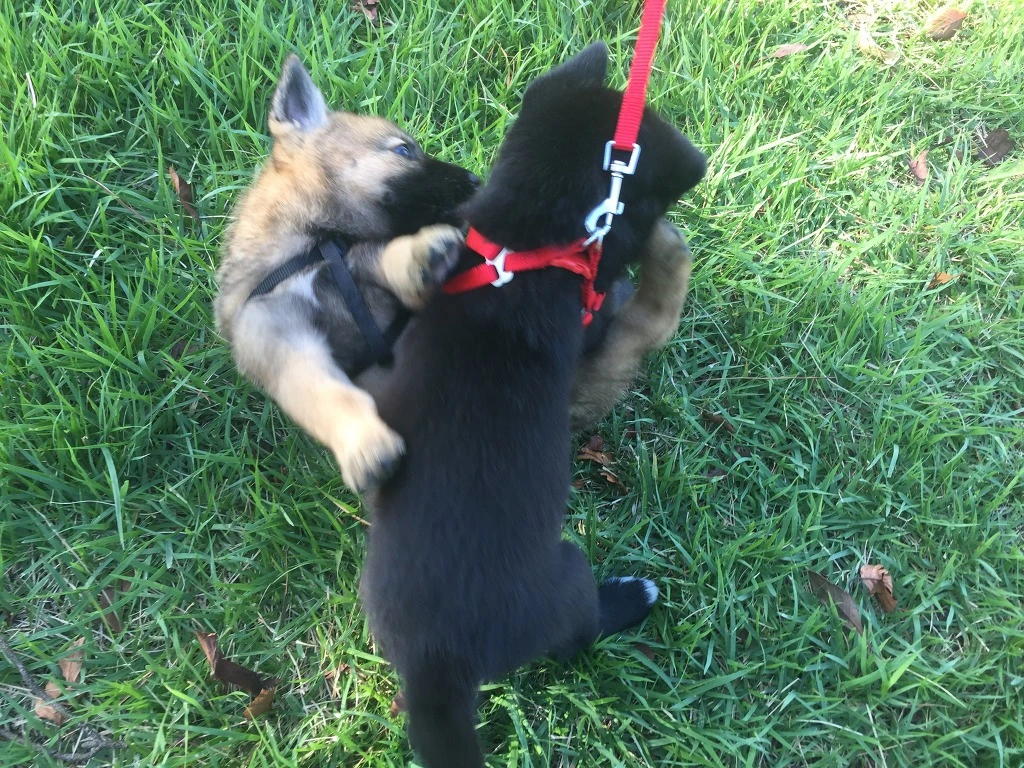 99593C355BAA13D309B8B0