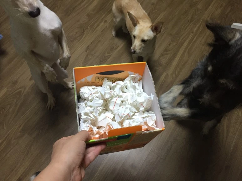 SE-27b21529-6391-490a-8c12-e72719f1a90a.jpg?type=w773