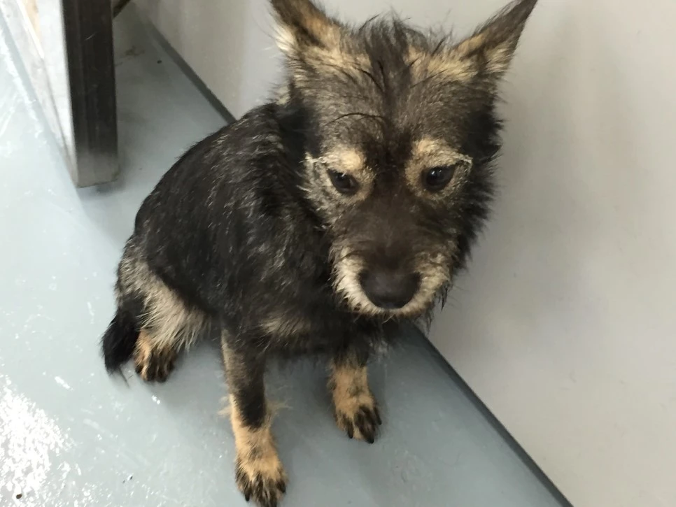 P20180913_143347523_CE656F45-EA6F-43DE-86C1-A5020972DED5.JPG?type=w966