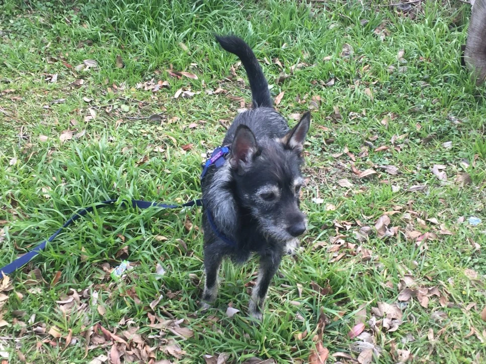 P20190106_144754806_DB92F35E-5B43-44A7-BB88-3B7CE9434107.JPG?type=w966