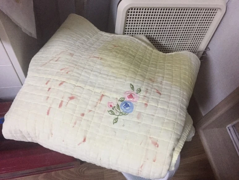 IMG_1870.JPG?type=w773