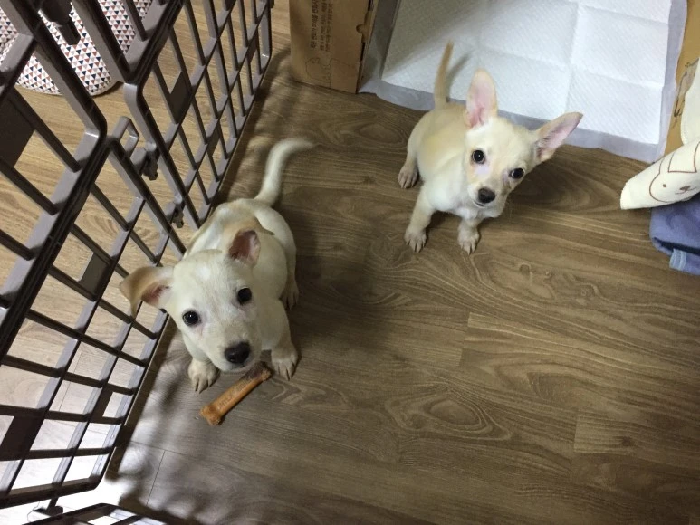 P20180810_155425415_19DD379C-022D-47D3-92DF-82DC831D29CD.JPG?type=w773