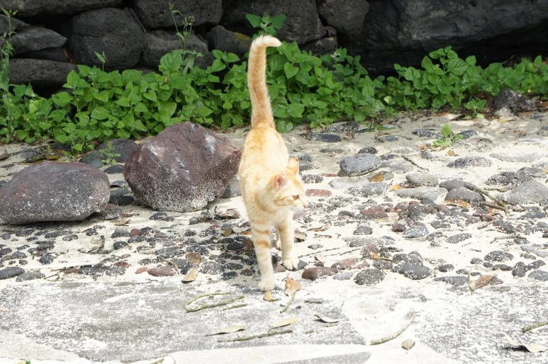 DSC05957.JPG?type=w773