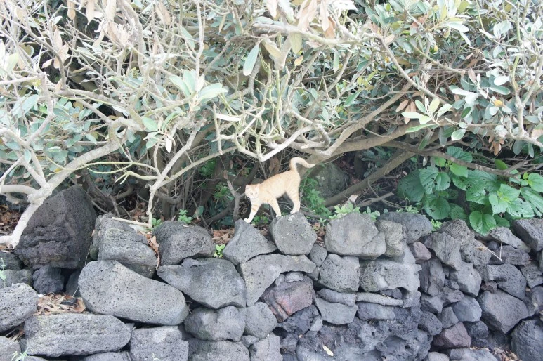 DSC05946.JPG?type=w773