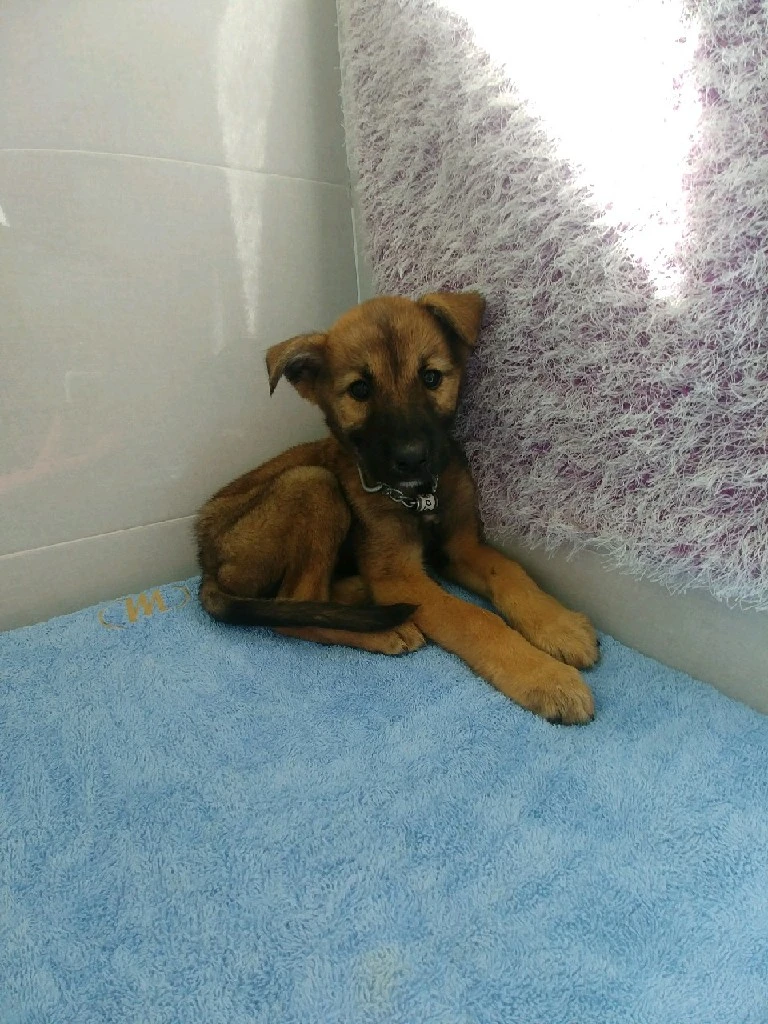 P20181012_155258876_FFBF4C78-C721-48F1-8BF5-16DC82292BFD.JPG?type=w966