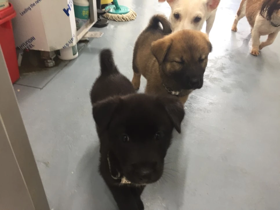 P20180927_133700127_606F724F-256A-4EC5-BE47-1FC44FE4F46B.JPG?type=w966