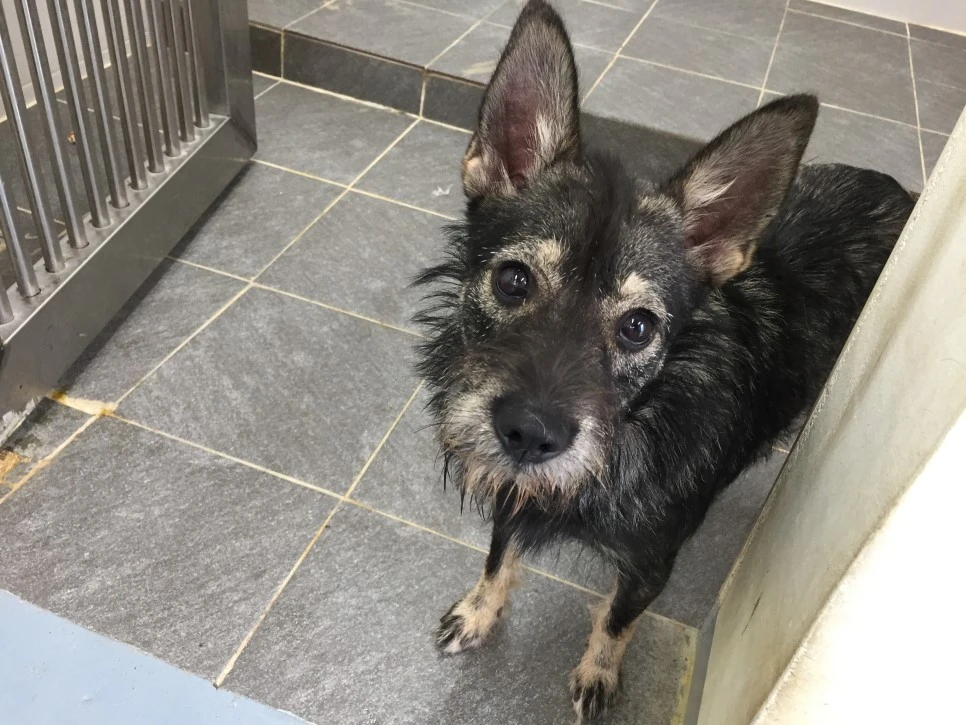 P20181011_142823139_0CFEF19A-D554-447E-B8EE-5CA38523FCAE.JPG?type=w966