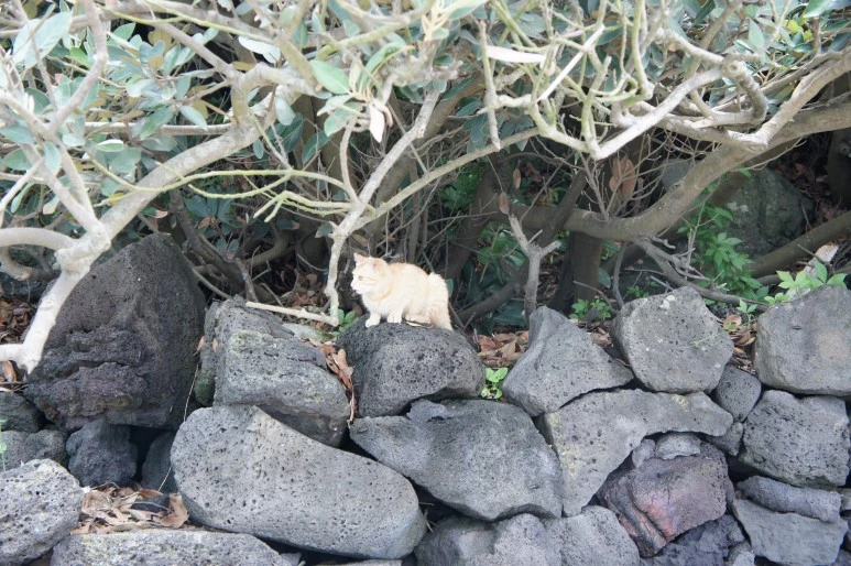 DSC05948.JPG?type=w773