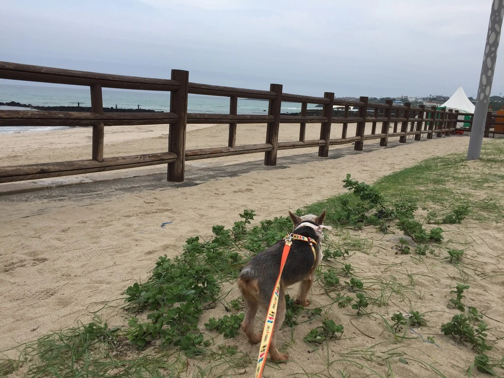 996EBF375B9F7D6727C5D5