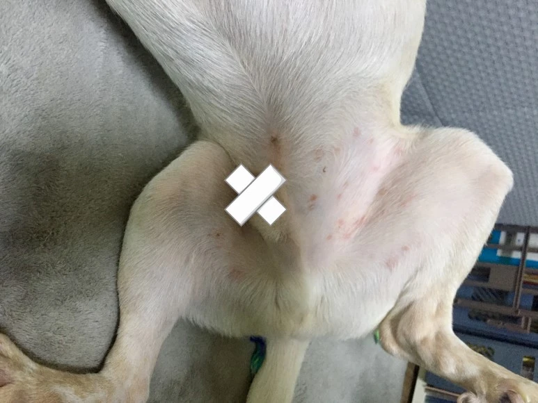 fullsizeoutput_d17.jpeg?type=w773