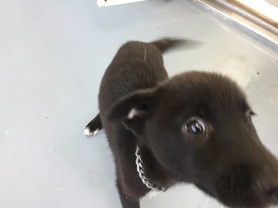 P20181013_103250755_1EE07945-C3D7-40D6-B319-6975E5089655.JPG?type=w966