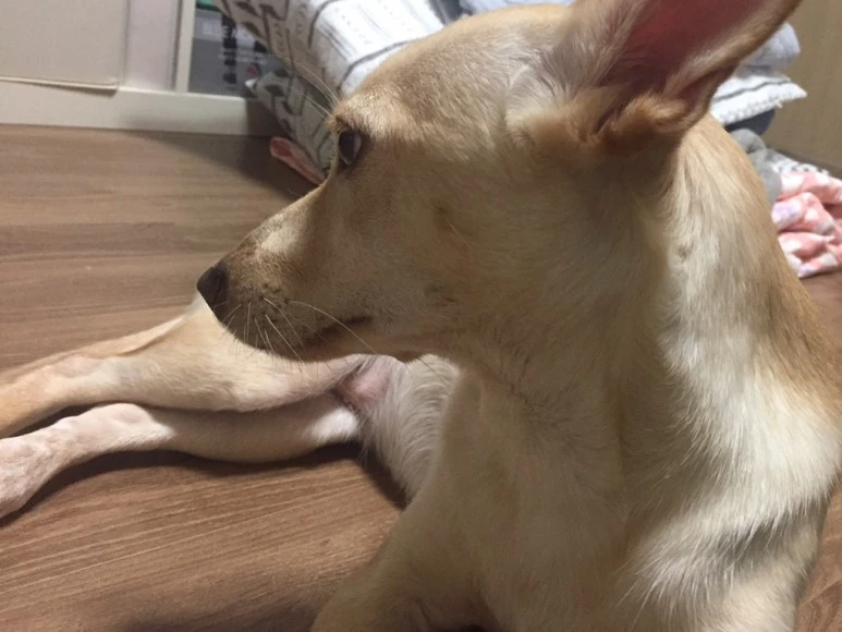 output_1436147100.jpg?type=w773