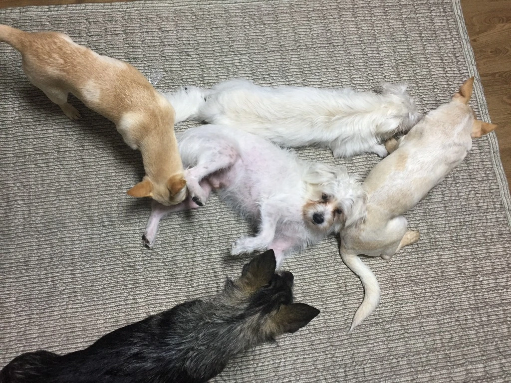 99DF05505C157A471ABCD0