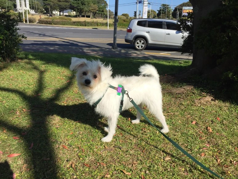 P20181102_095743014_D97E2588-2181-42CB-BAB9-93174AABB024.JPG?type=w773