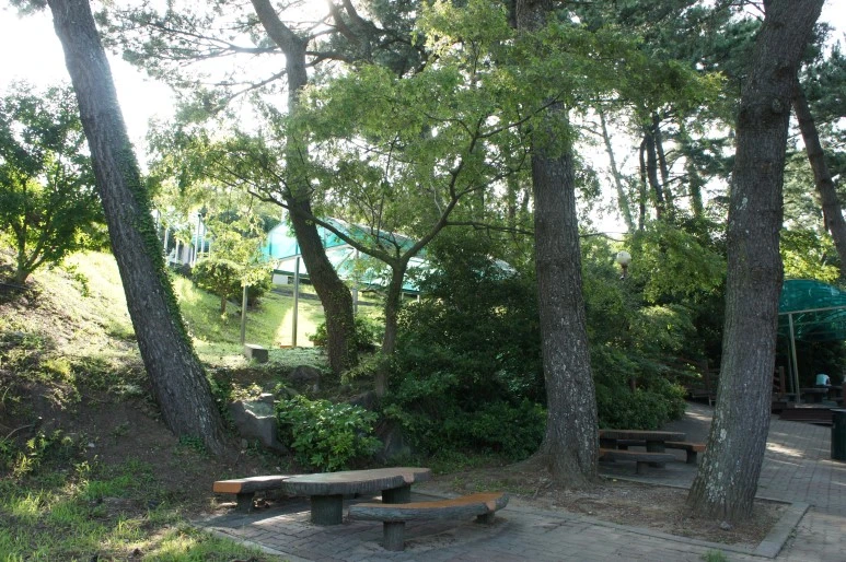 DSC06747.JPG?type=w773