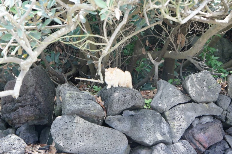 DSC05949.JPG?type=w773