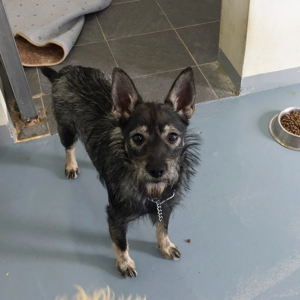 P20181101_140305200_FBFE80B0-ECD5-4504-A101-F9FB098F9DAB.JPG?type=w966