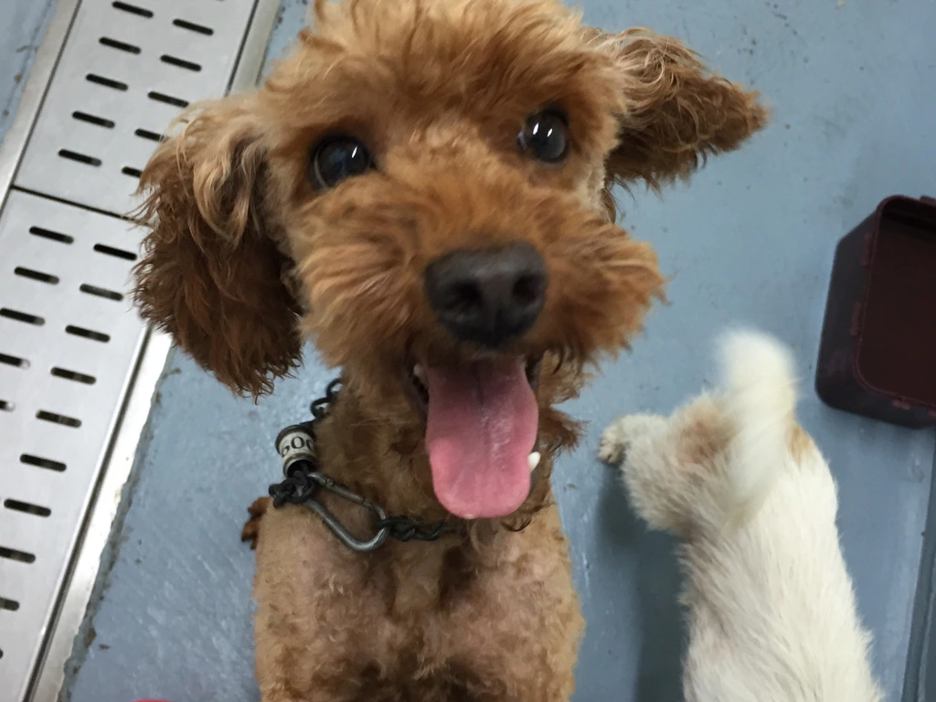 9959634E5B9A674D18EC6B