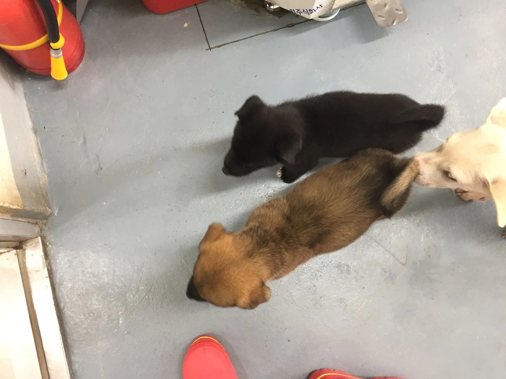 991A054B5BACBE8F186419