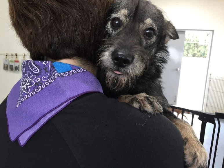 IMG_4892.JPG?type=w773