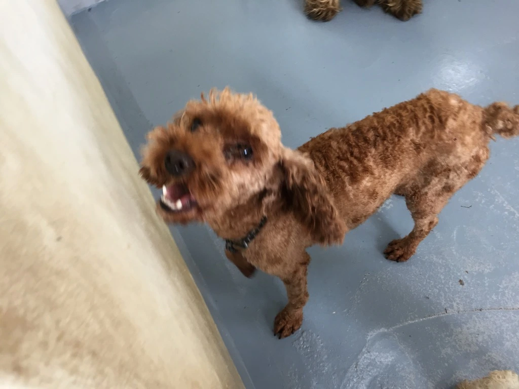 99CD664B5BA6156B244B61